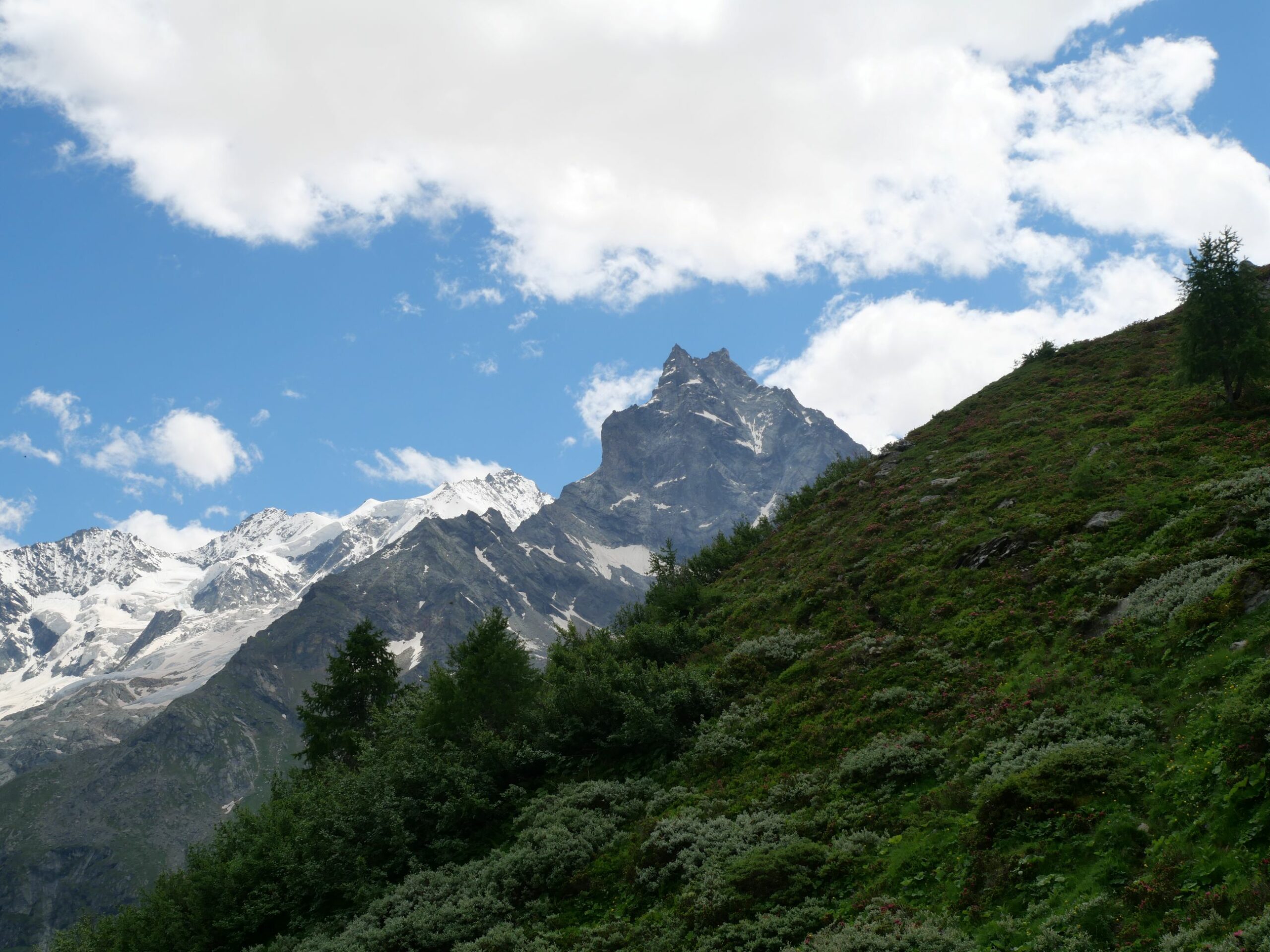 snowy mountains