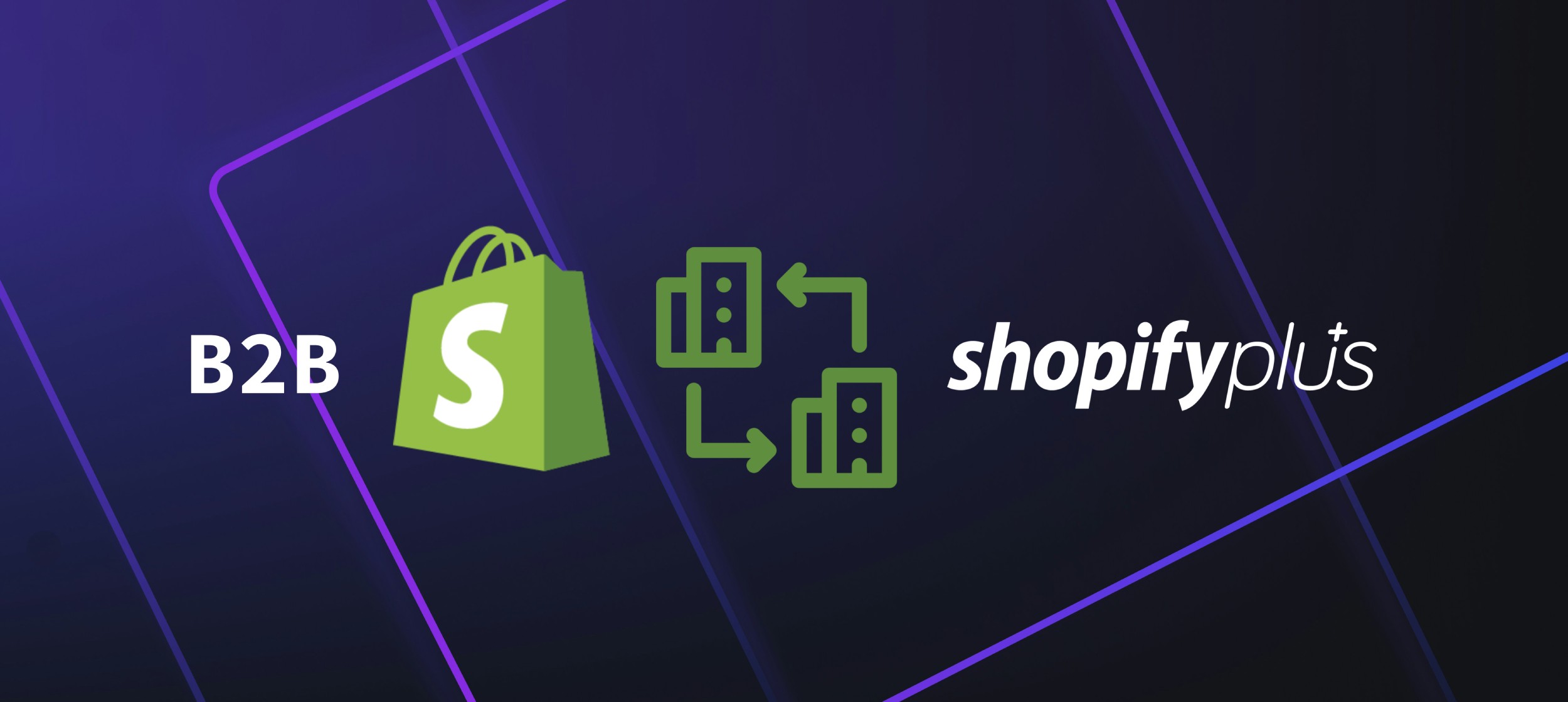 Why Shopify is good for B2B